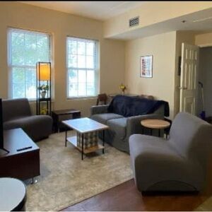 Gray Sofa and Chair slipcover dorm